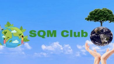 Why is SQM Club Popular These Days?