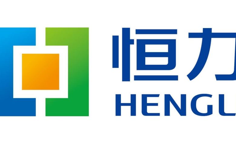 Hengli: An Innovative Petrochemical Company Driving Sustainable Growth